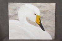 /album/foto-5/img-3887-jpg/