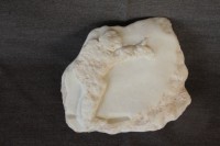 /album/steen-3/img-3896-jpg/