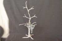 /album/beeld-4/img-3901-jpg/