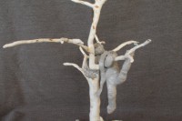 /album/beeld-4/img-3903-jpg/