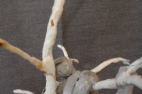 /album/beeld-4/img-3905-jpg/