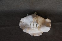 /album/fotogalerij-fotogalerij/img-3910-jpg/