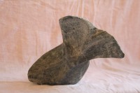 /album/steen-4/img-3925-jpg/