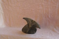 /album/steen-4/img-3926-jpg/