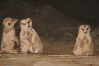 /album/schilderij-3/img-3931-jpg/