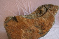 /album/steen-1/img-3945-jpg/