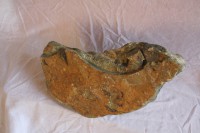 /album/steen-1/img-3946-jpg/