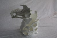 /album/beeld-5/img-4016-jpg/