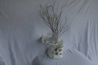 /album/beeld-5/img-4018-jpg/