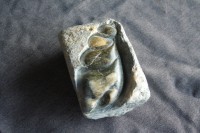 /album/steen-61/img-4038-jpg/