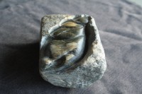 /album/steen-61/img-4040-jpg/