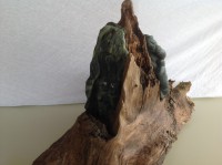 /album/steen-7/img-2142-jpg/