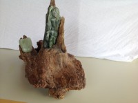 /album/steen-7/img-2143-jpg/